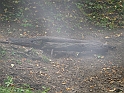 XR 22.08.2006 003
